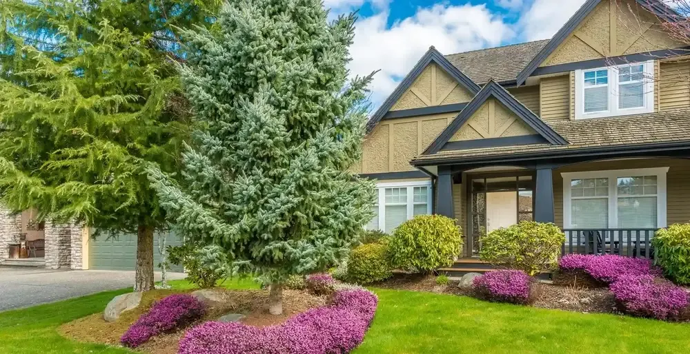 Springfield Property Management